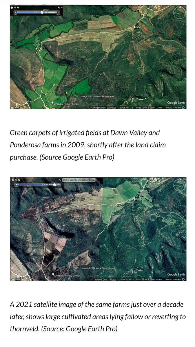MerchantOfBeNice tweet media