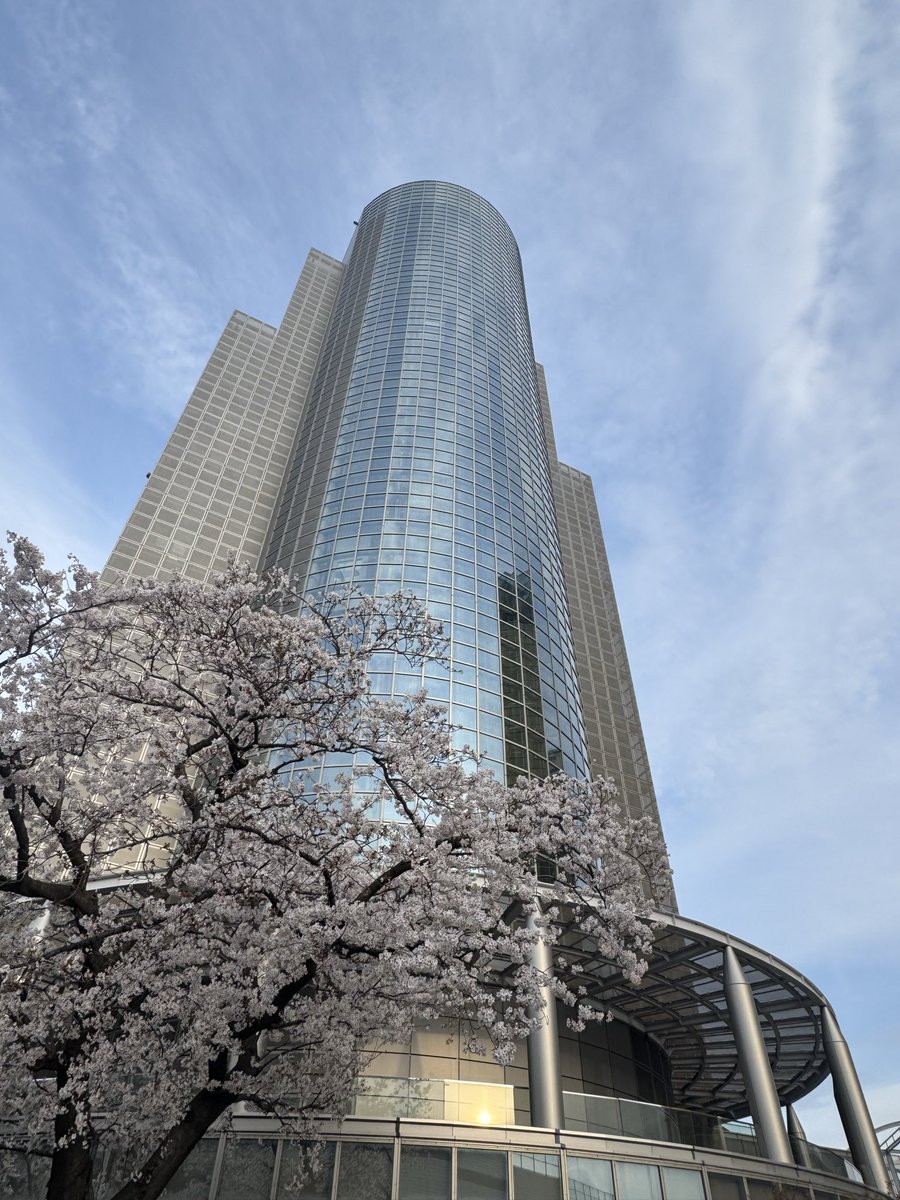 5884sumida's tweet photo. 週末は各地のお花見にお邪魔しました🌸

町会お手製の豚汁や焼きそばをいただき、さまざまな意見交換を。下は4歳から、上は89歳の方と色々なお話しができました☺️

毎年この時期は議会開会中で、平日はほぼ区役所。こうして地域の方と腰を据えて話せるのも楽しみのひとつです🤲

#墨田区 #小林しょう #花見 #桜