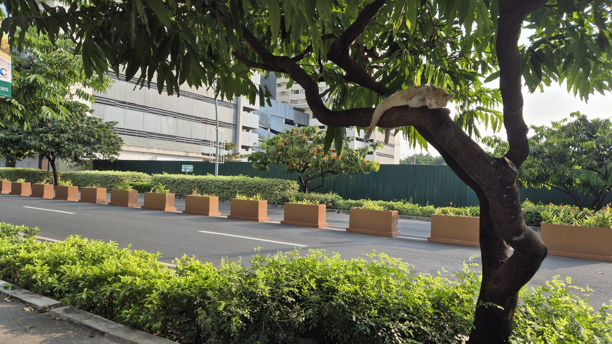 Synertex 🚂 tweet media