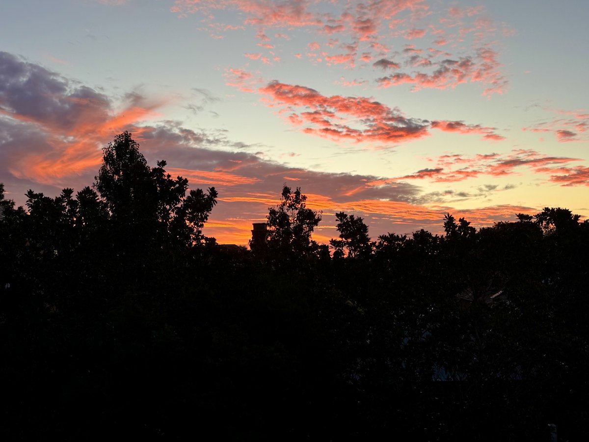 Craig Smith tweet media