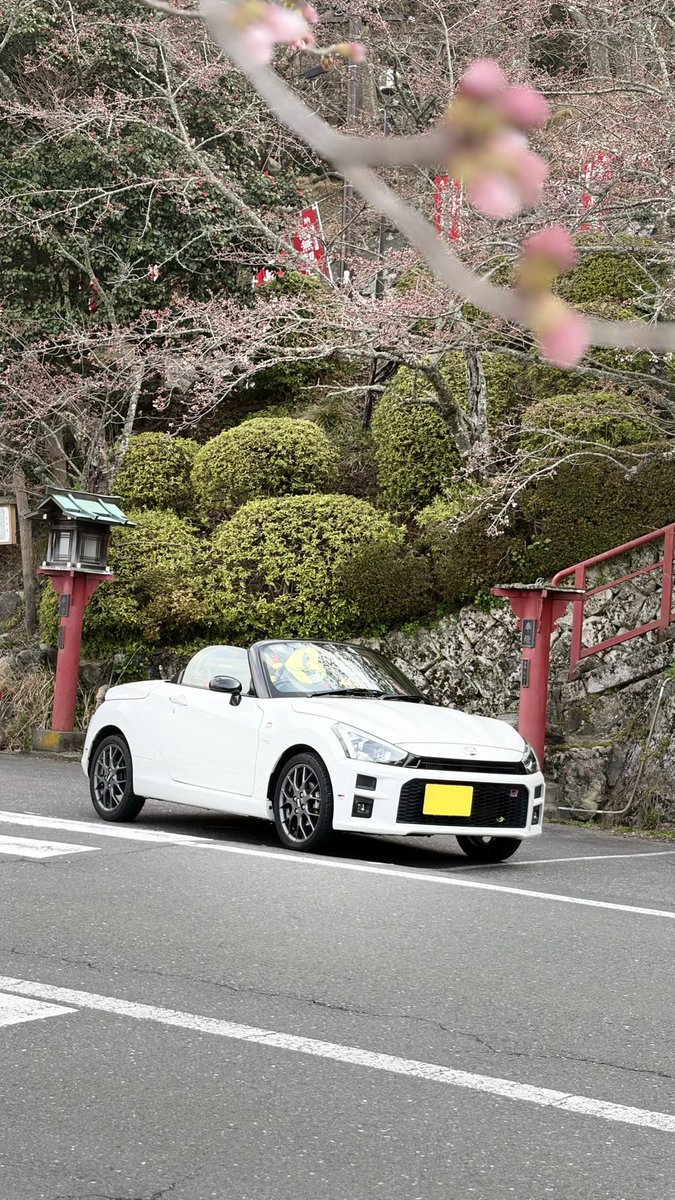 のぶ(+アヒル隊長) tweet media