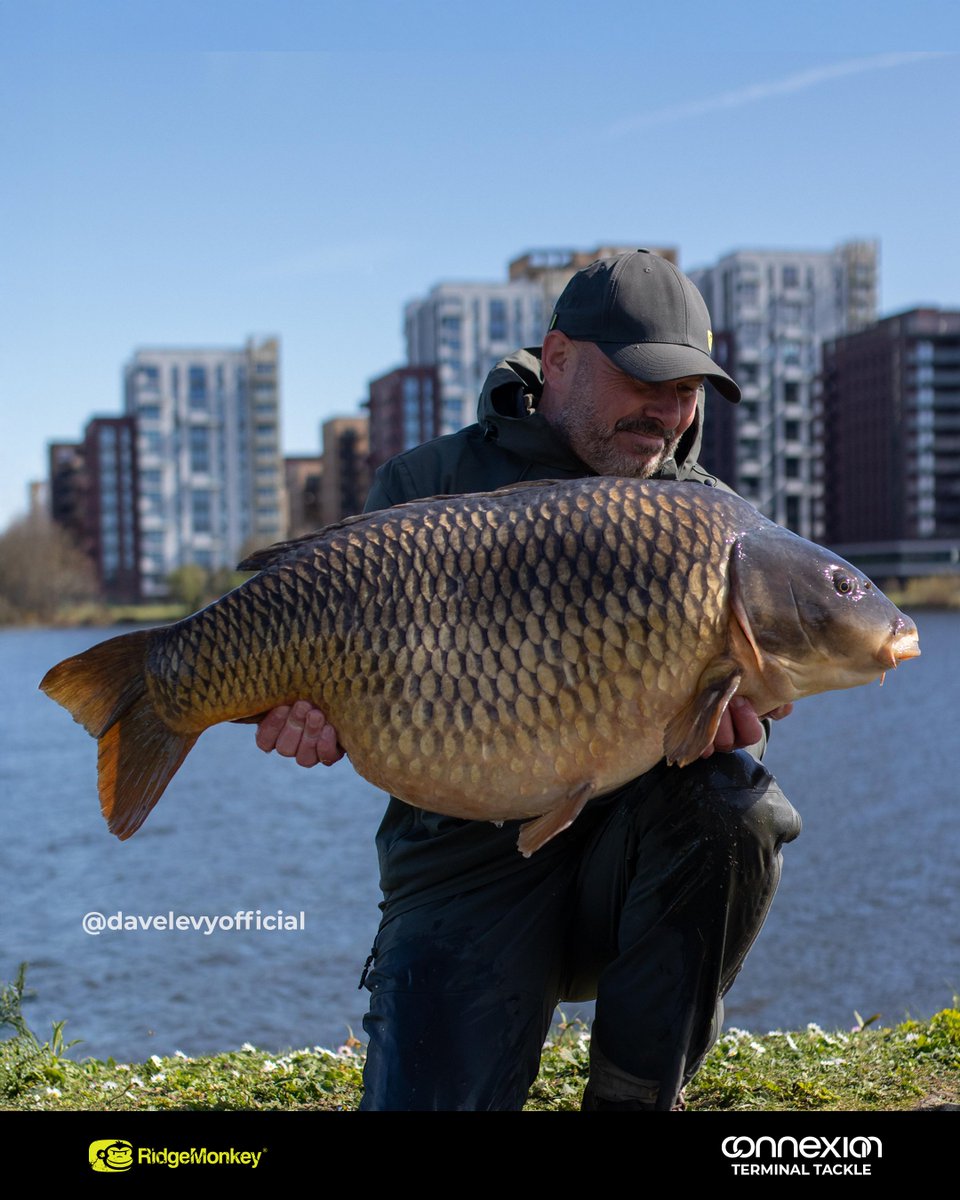 RidgeMonkey tweet media