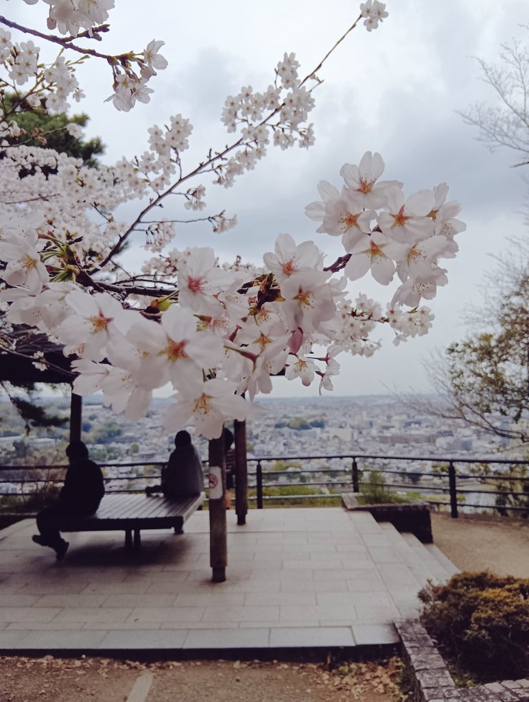 ケン@順菜推し tweet media