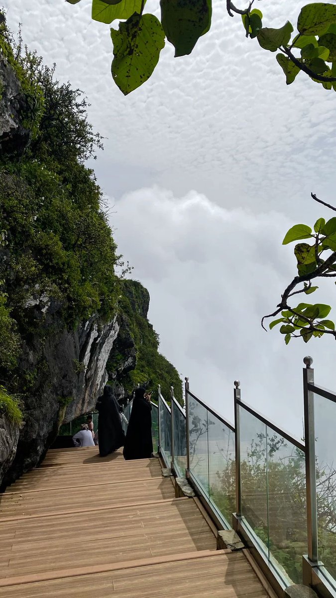 مريم بنت محمد البلوشية tweet media