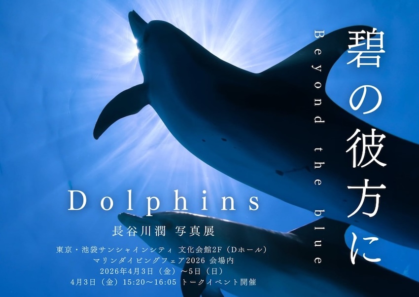 ocean+α (オーシャナ)【公式】 tweet media