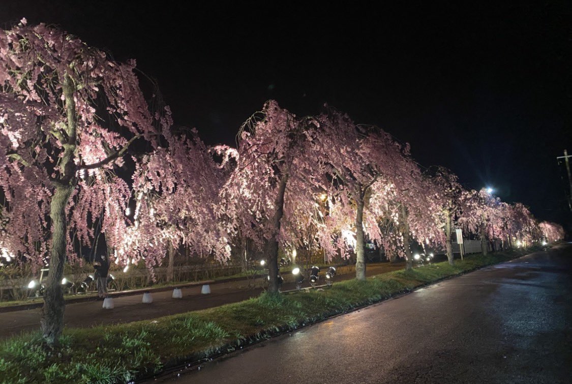 ふくしま街さんぽ|週末どこ行く? tweet media