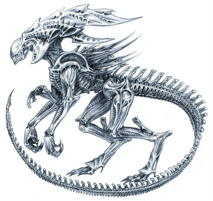 Alex_P aka alkonavt96 tweet media