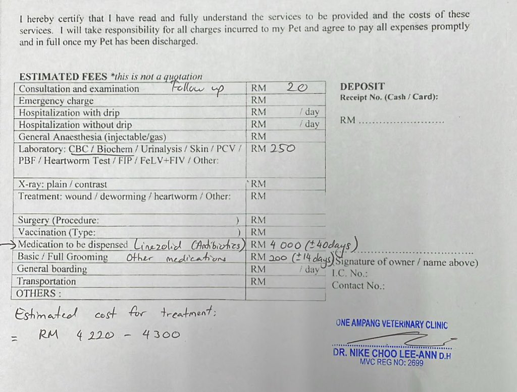 Han Sheryn tweet media