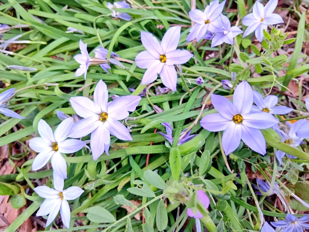 メヒロ tweet media