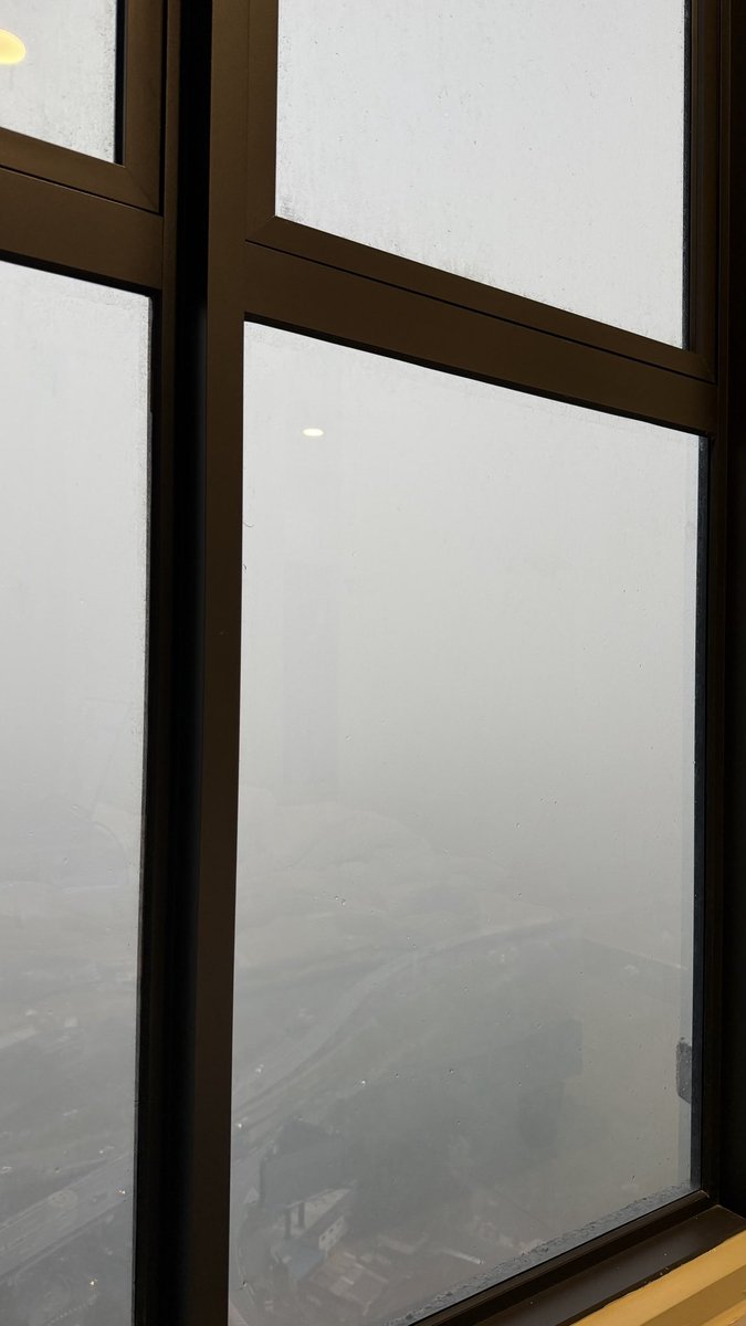 Камамбешенство tweet media