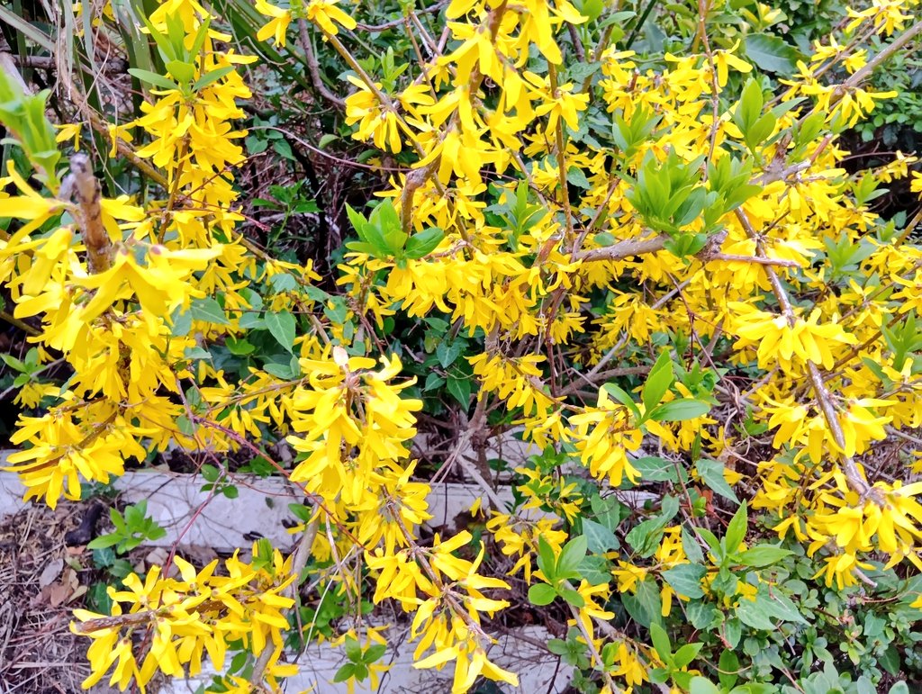 メヒロ tweet media