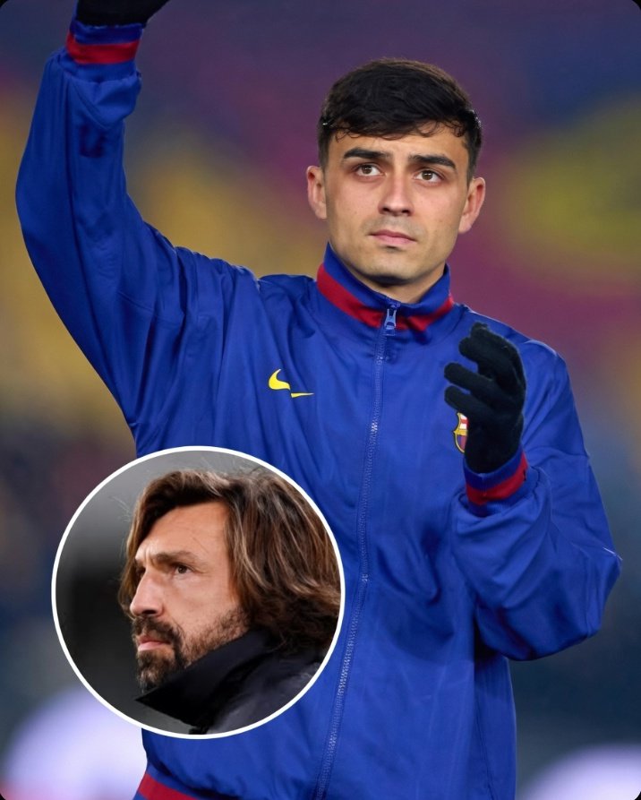 CHIMAOBI 🐅 tweet media