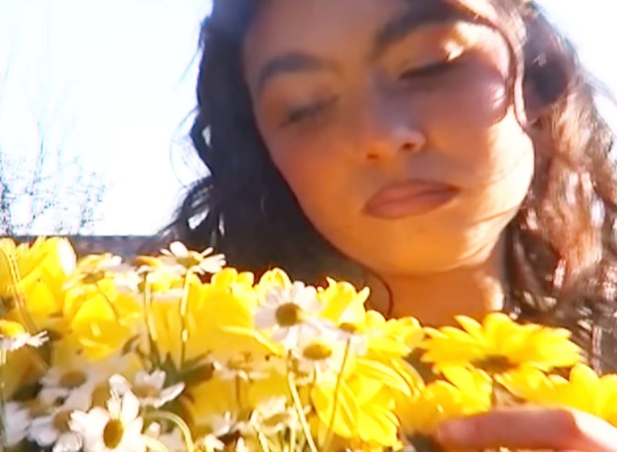 UniversalMusicSpain tweet media