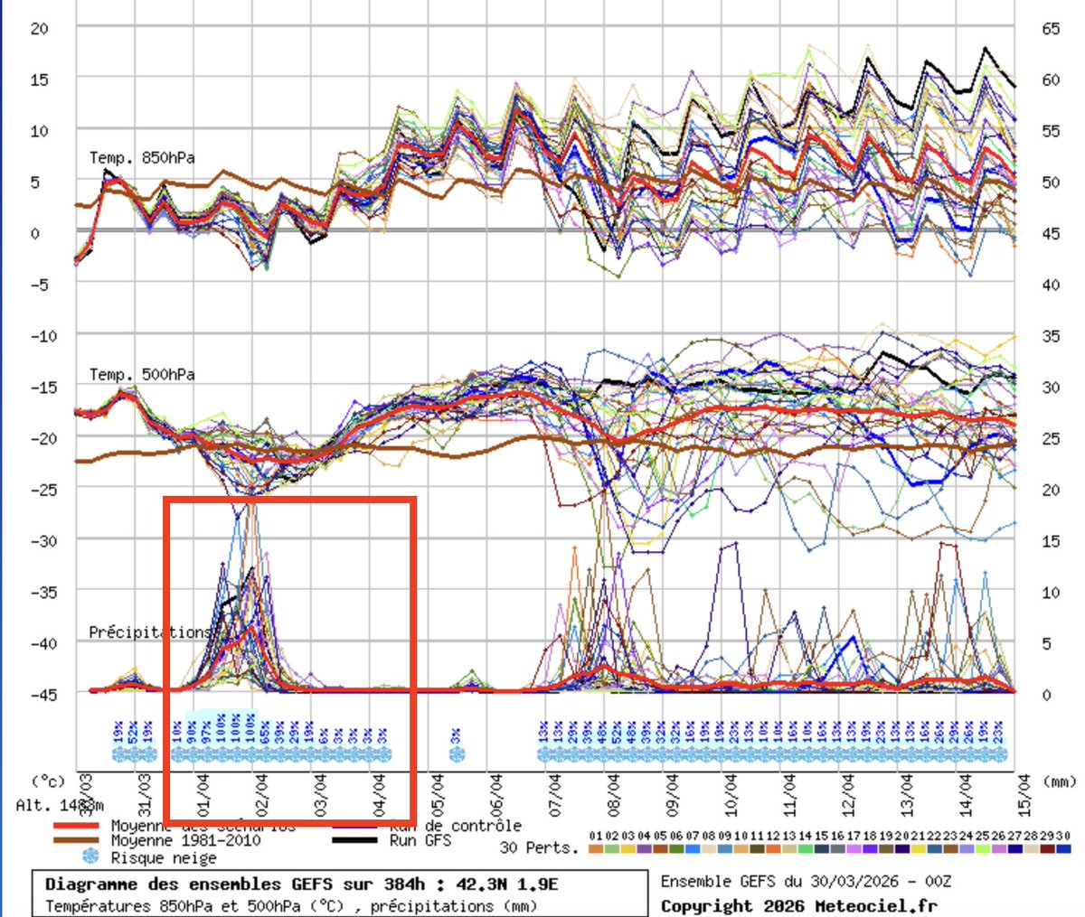 Àlex Van der Laan tweet media