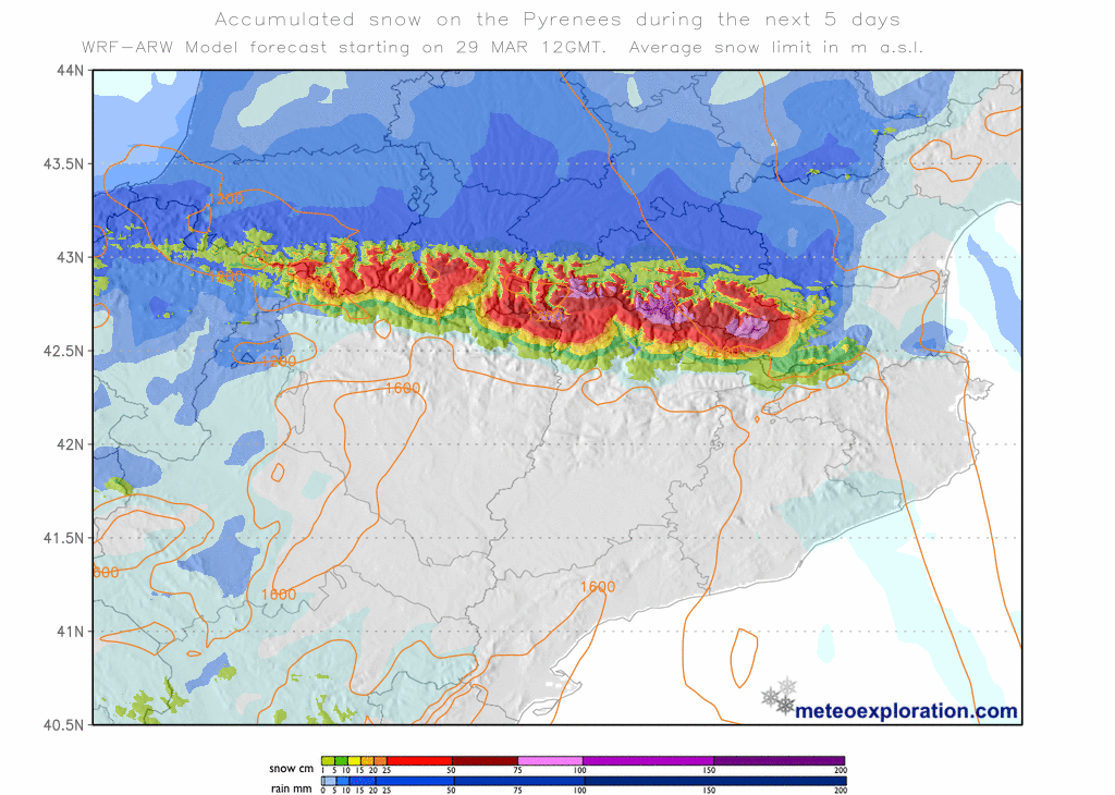 Àlex Van der Laan tweet media
