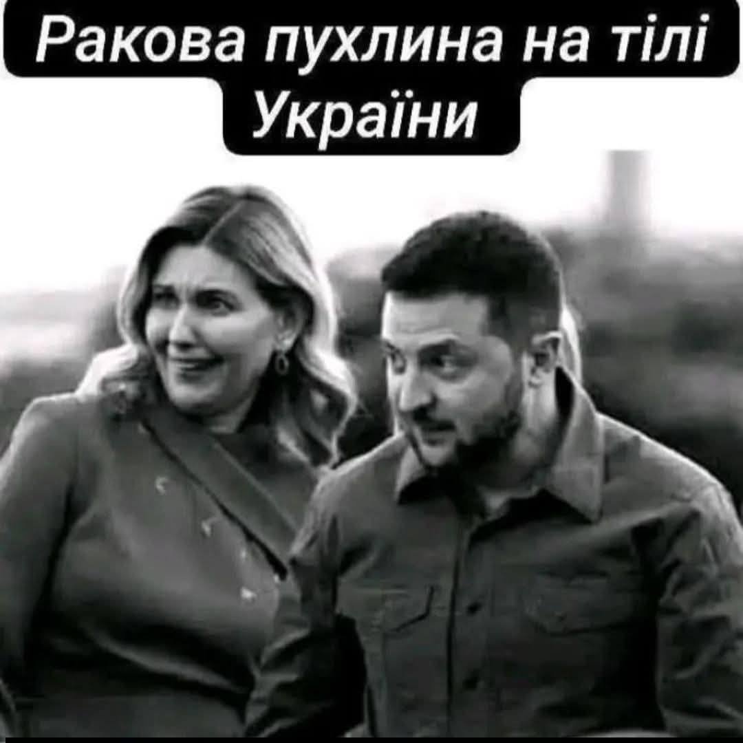 Люся Тютюник tweet media