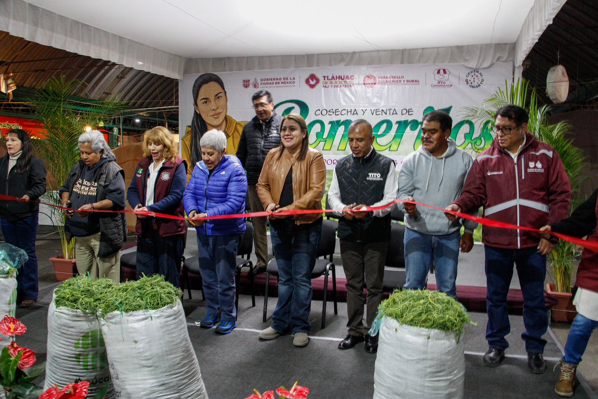 Coordinación General CEDA tweet media