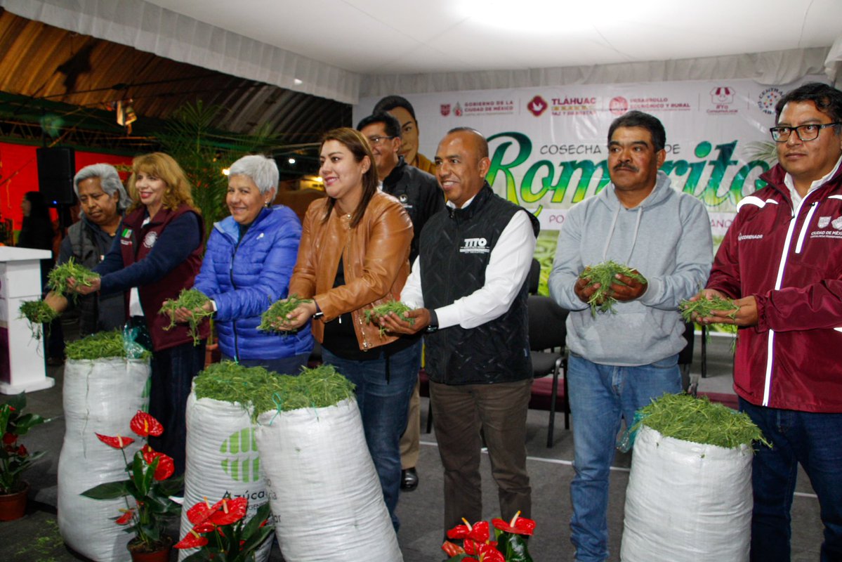 Coordinación General CEDA tweet media