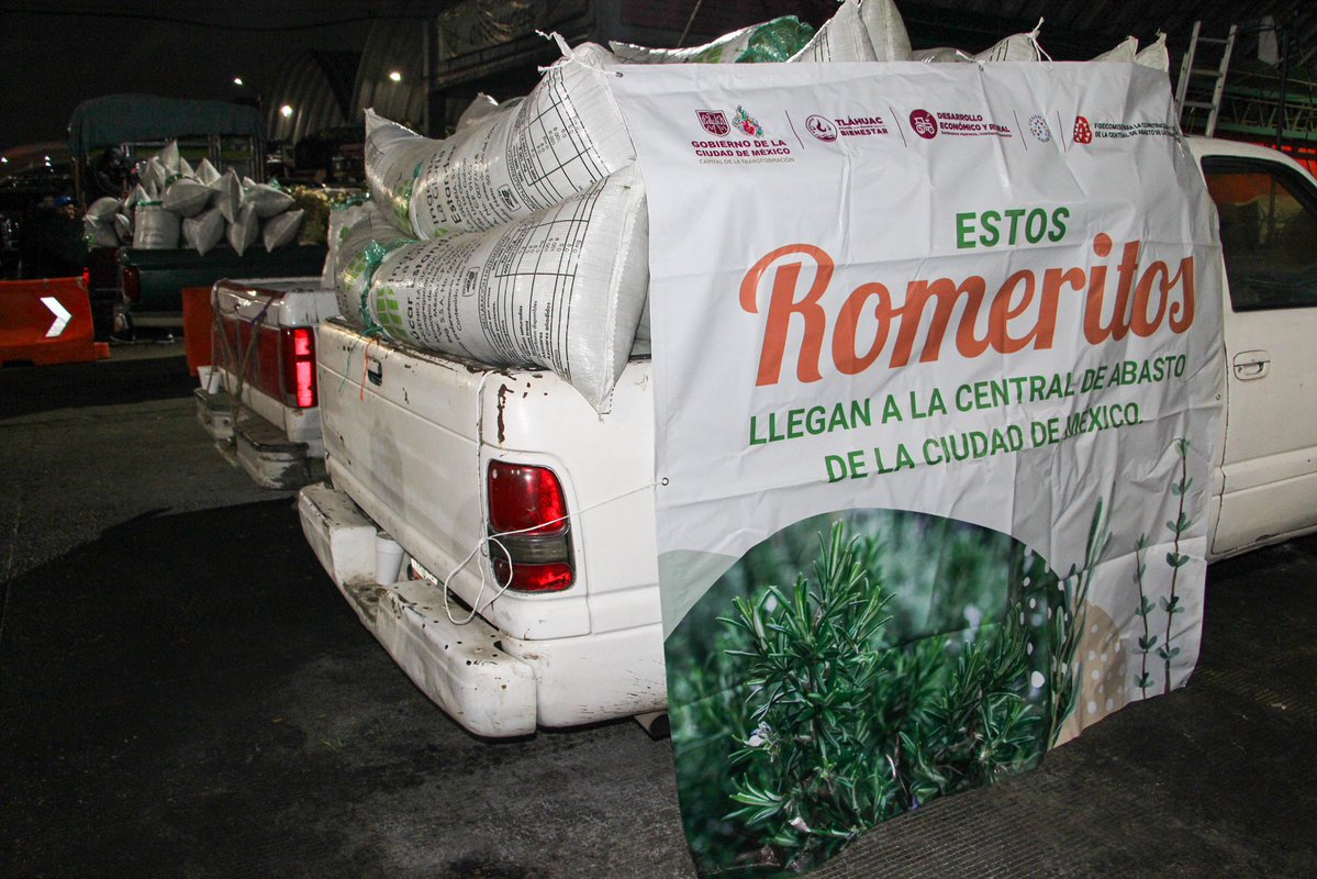 Coordinación General CEDA tweet media