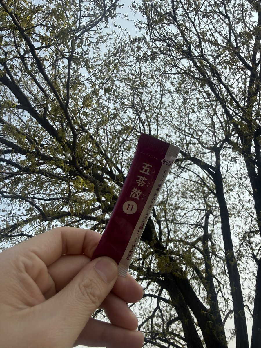 ぬむん(むぅ/Mu_) tweet media