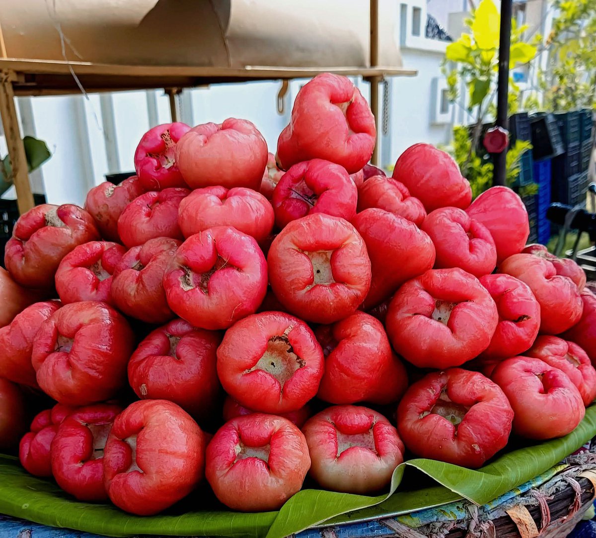 Angelina AK✨ tweet media