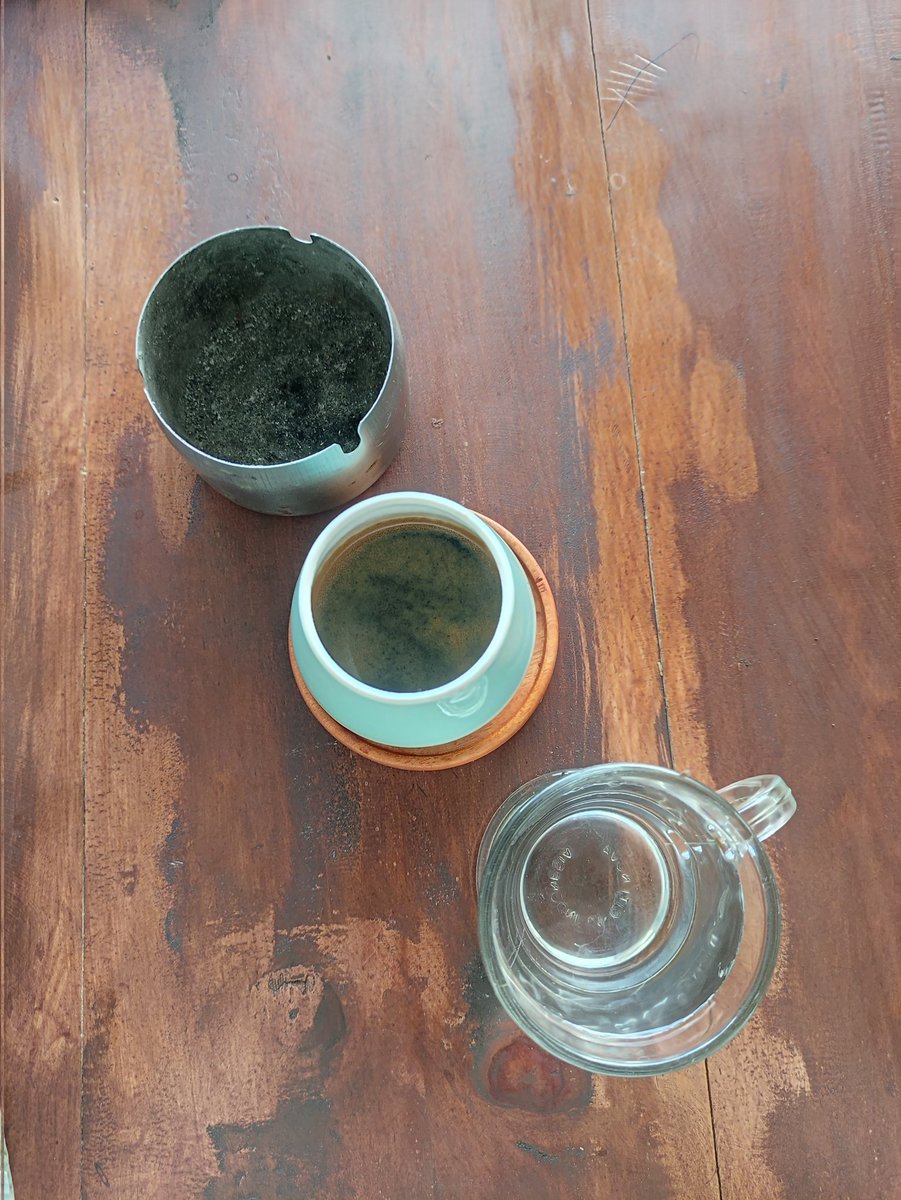 A minoor 🎶 tweet media