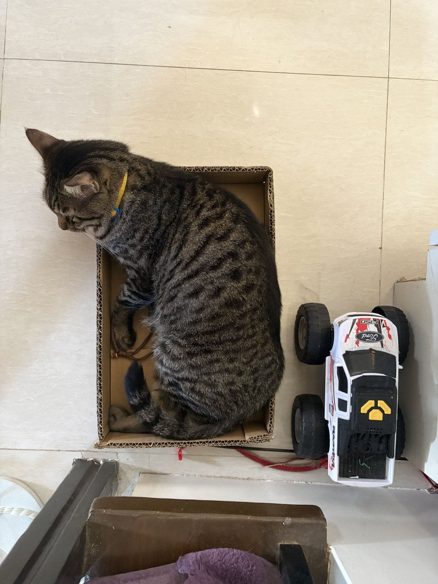 🦷🪽 tweet media