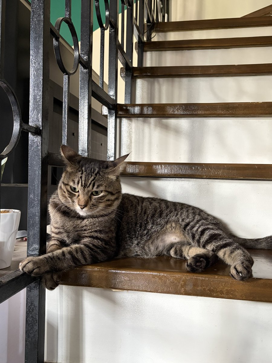 🦷🪽 tweet media