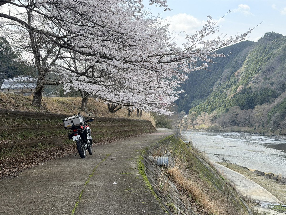 大和村山 tweet media