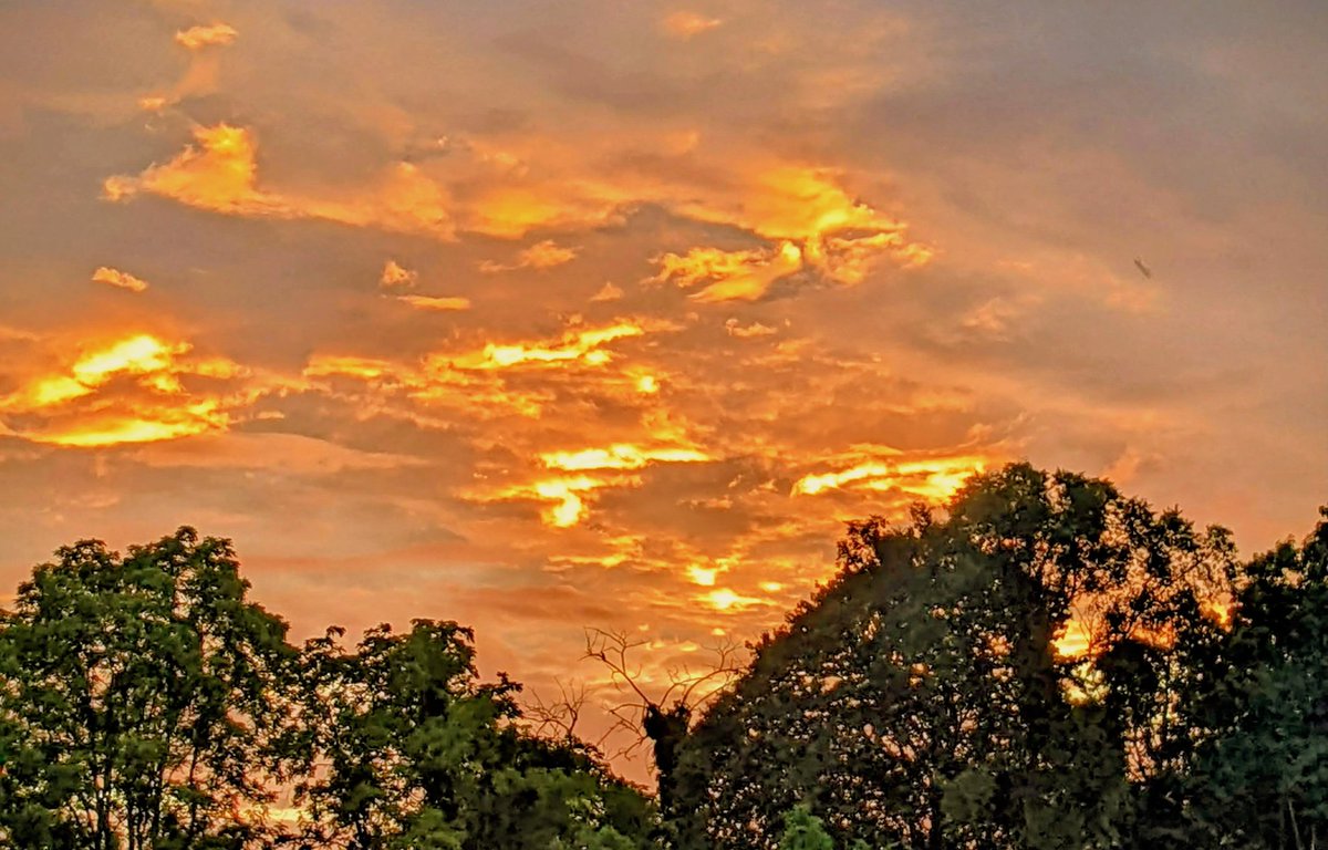 Tim Green tweet media