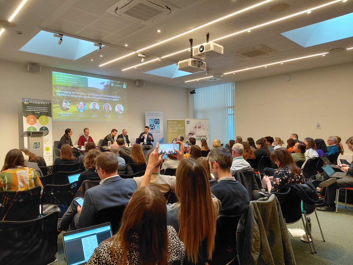 ReForest Project tweet media