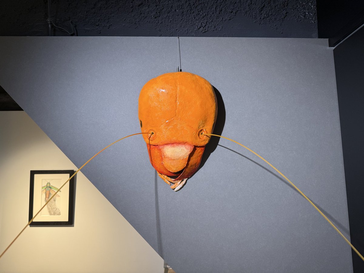 ファーブル昆虫館 tweet media