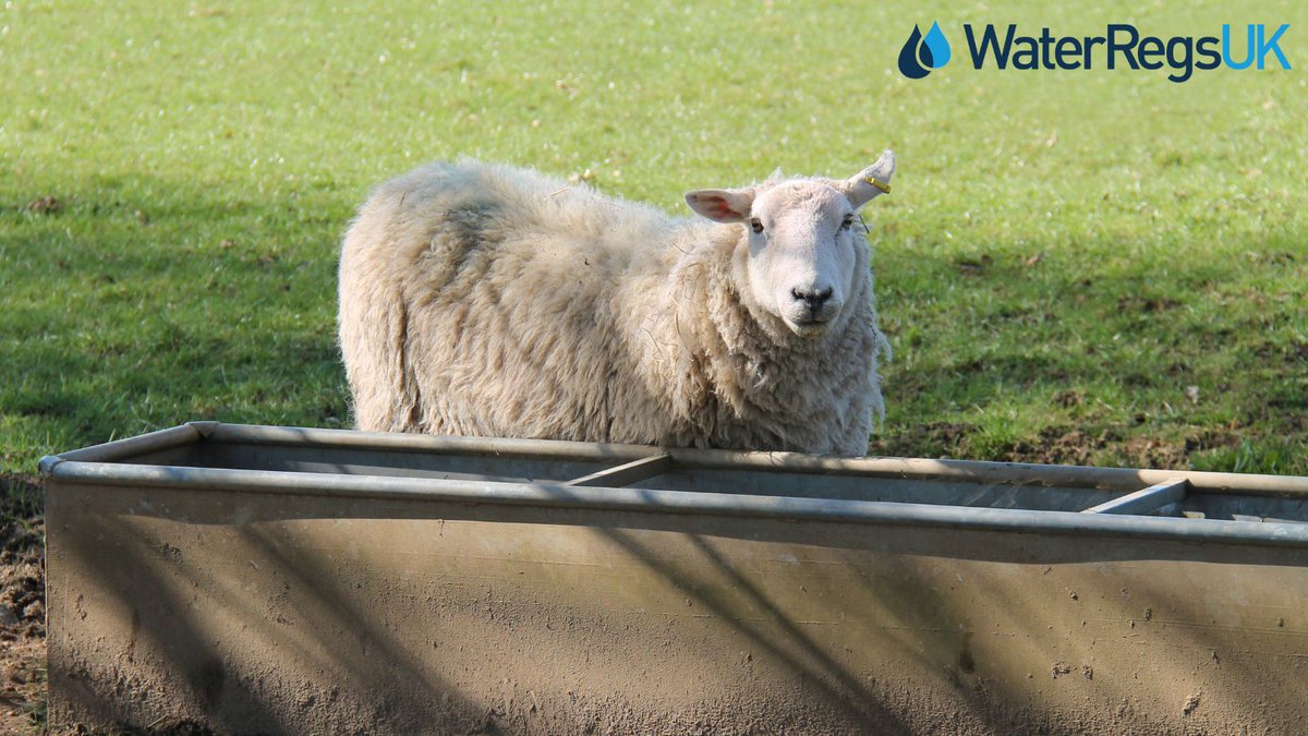 Water Regs UK tweet media