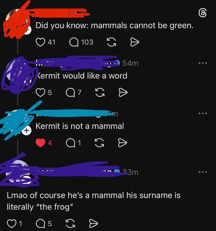 Paul Schleifer tweet media