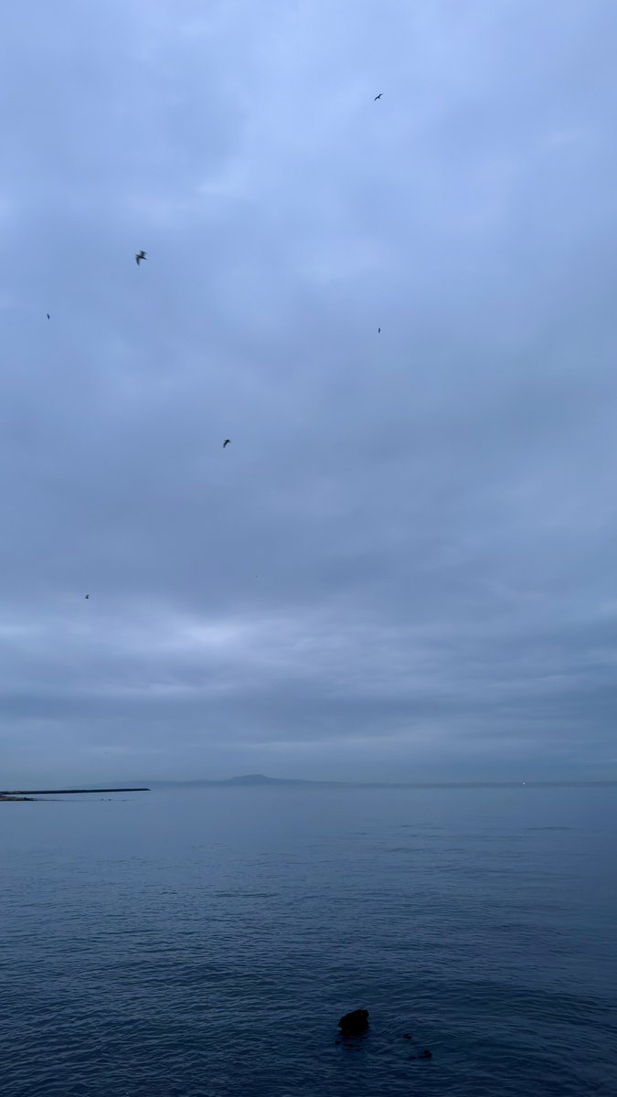 Angry_Octapus ♐ ♓ tweet media