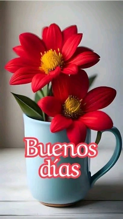 🇦🇷♥ Marcela ⭐⭐⭐ tweet media