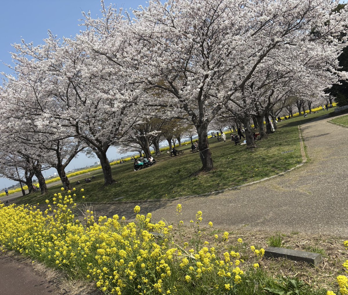 모치 (@axdshkr9) on Twitter photo 