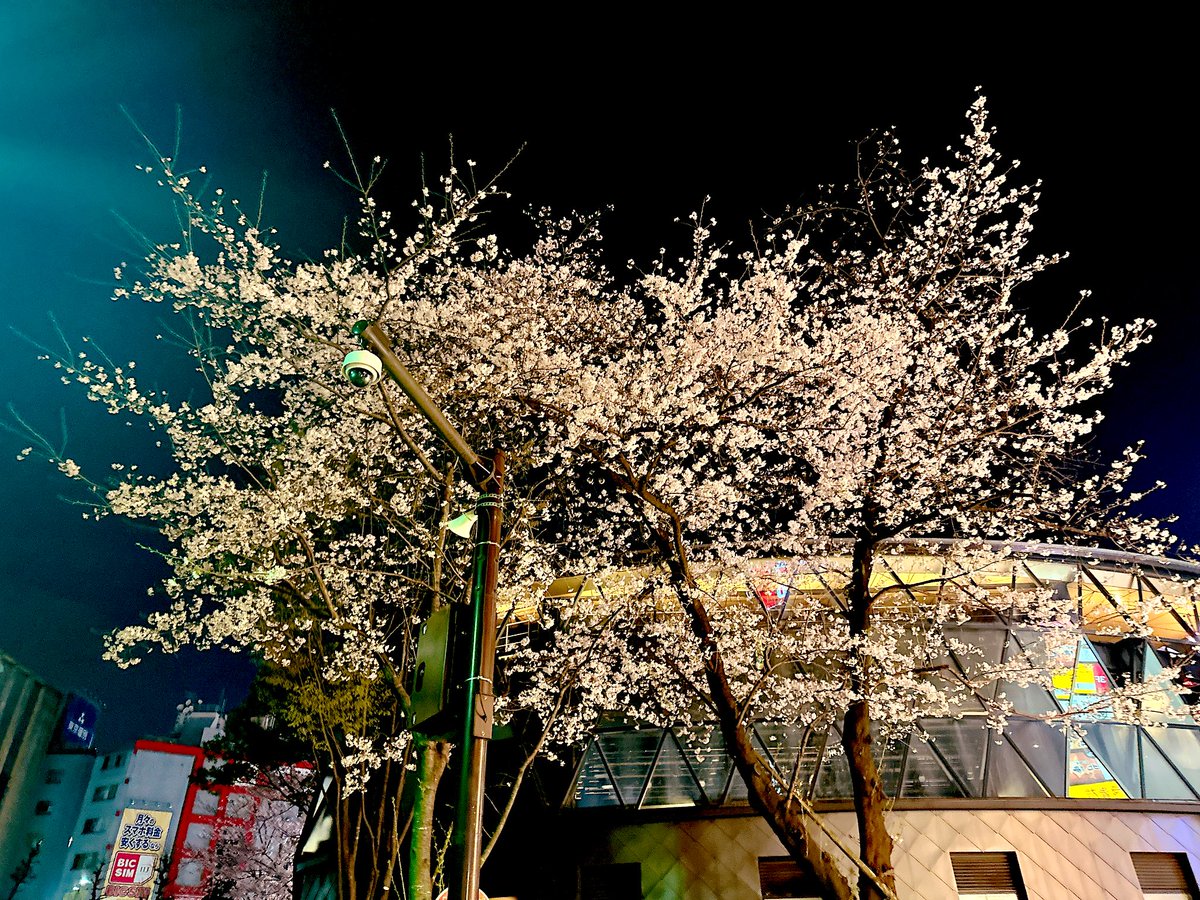 庄司智＠講談社ライトノベル出版部編集長 tweet media