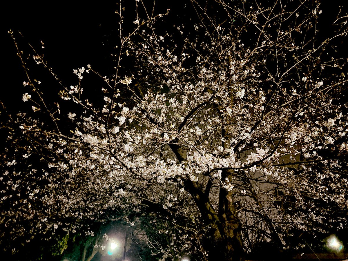 庄司智＠講談社ライトノベル出版部編集長 tweet media