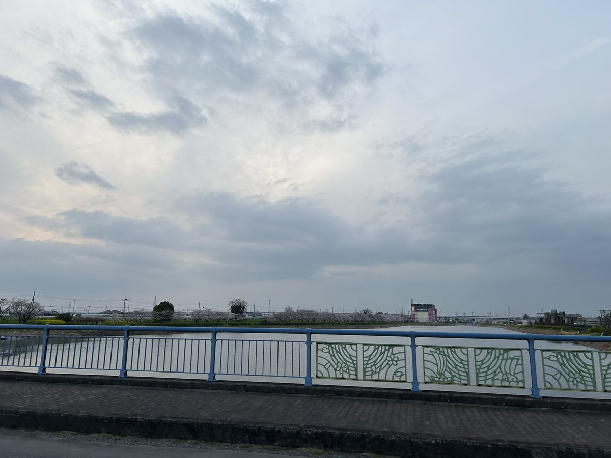 まいころりん《道産子さいたまGLAYER》 tweet media