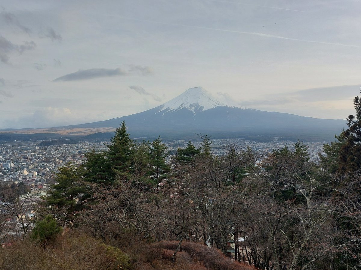 ぴょぽーん tweet media