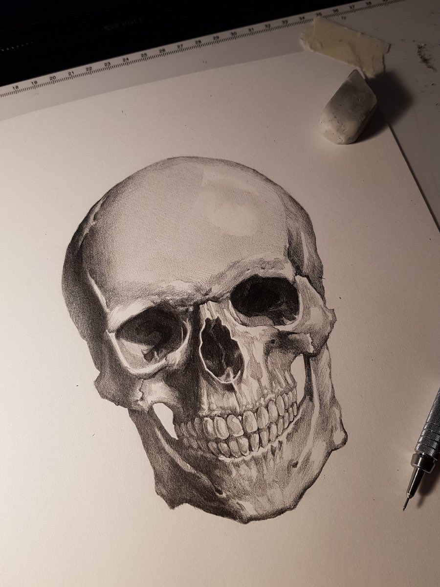 날파카 NALPACA | RAUM tweet media