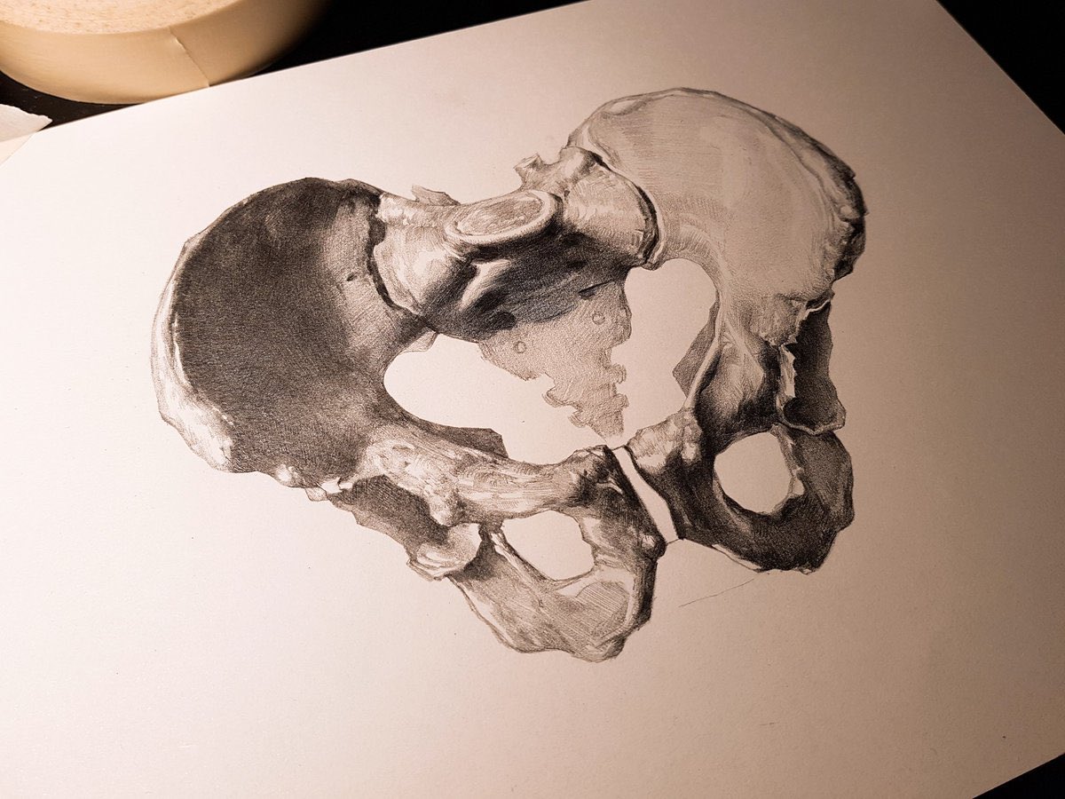 날파카 NALPACA | RAUM tweet media