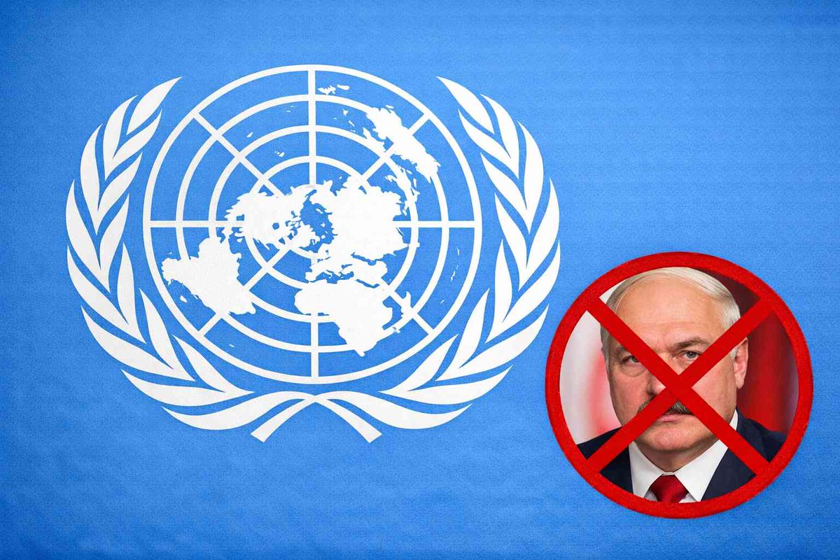 OUR HOUSE tweet media