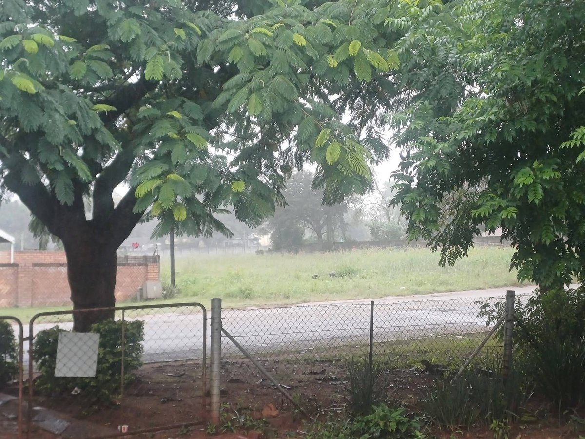 ReenvalSA tweet media