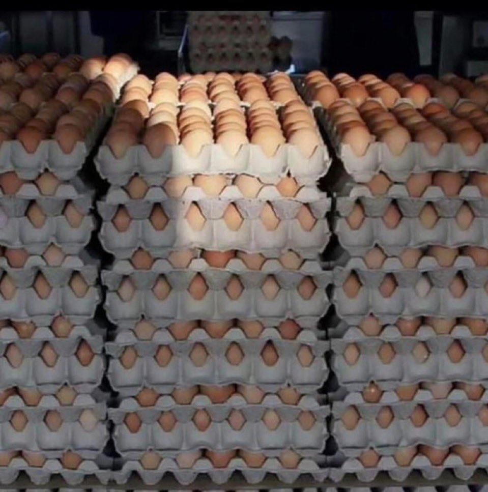 Mazi Nathan tweet media