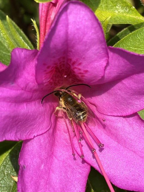 ccx16960 tweet media