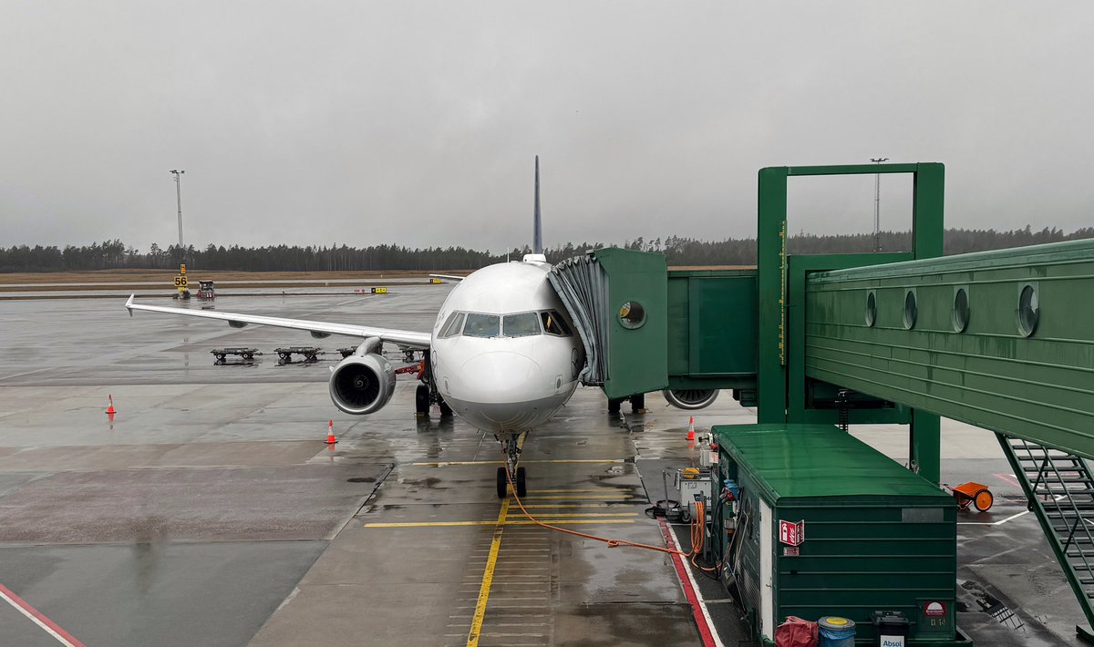 Robert Rowe tweet media