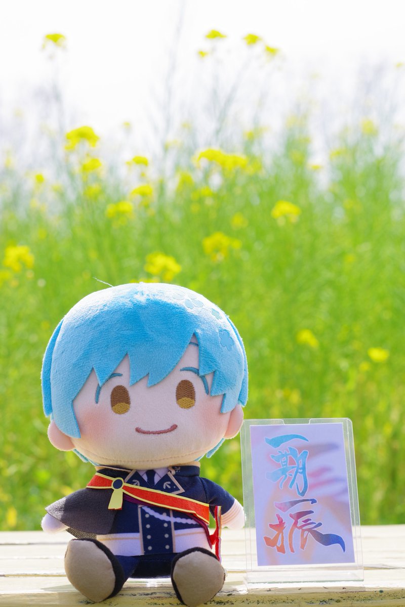 慶千代。📸さわりてぇ tweet media