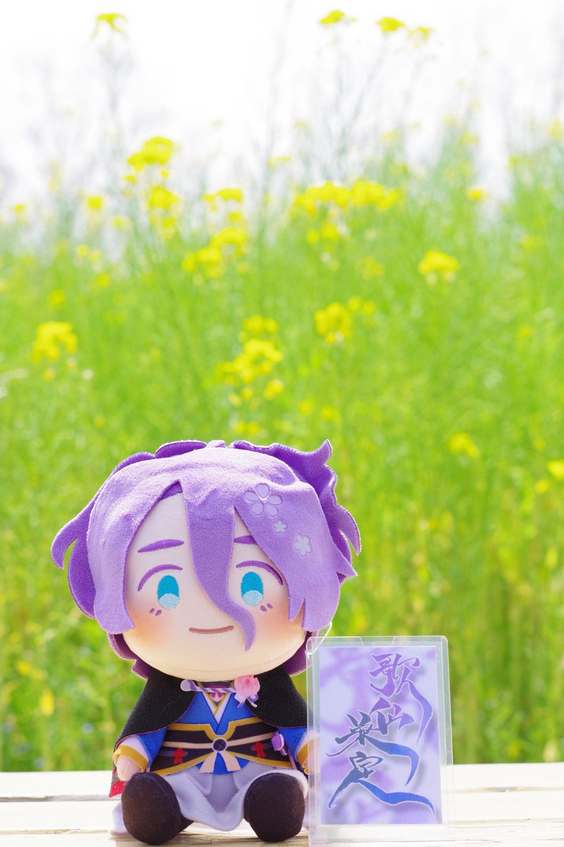 慶千代。📸さわりてぇ tweet media